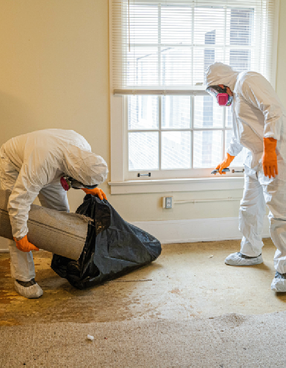 Arlington Water Damage Restoration